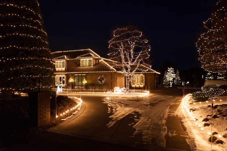 10 Must-Have Professional Christmas Lights Available Online