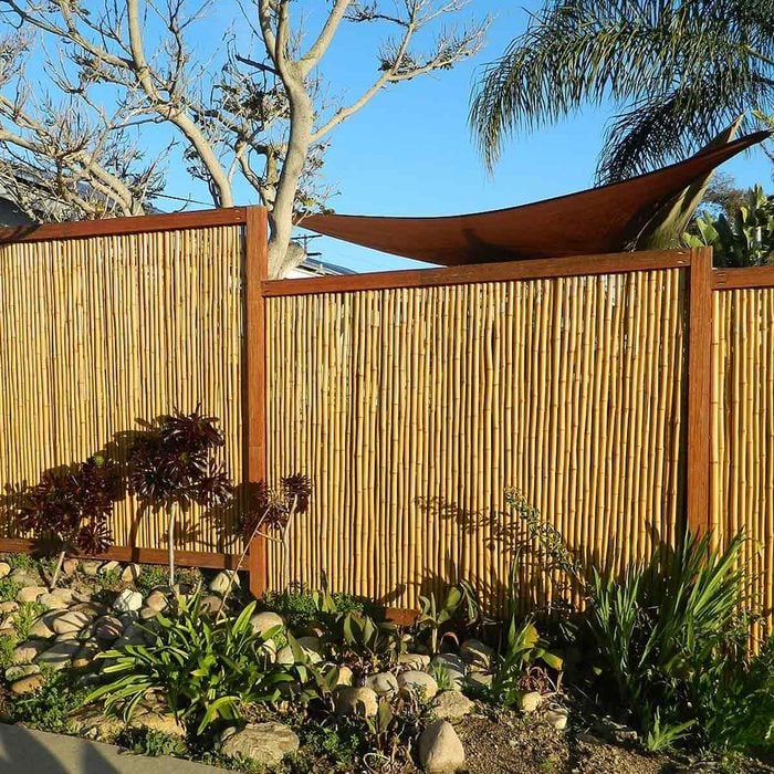 Extra Tall Pallet Fence ideas