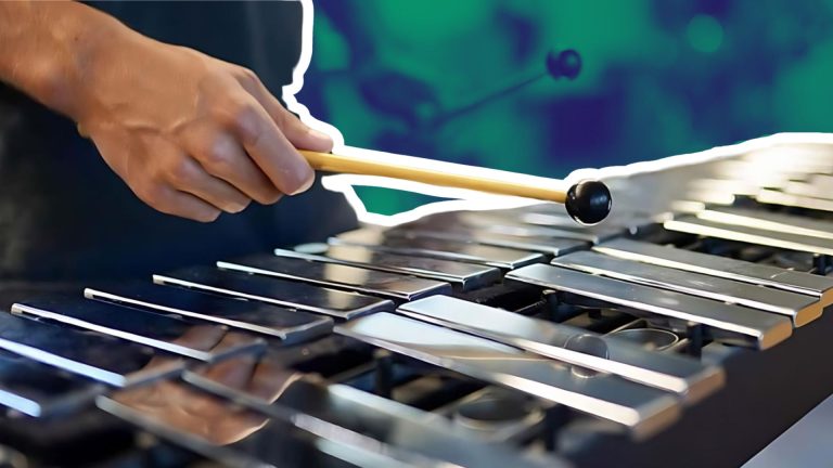 The History and Evolution of the Xylophone