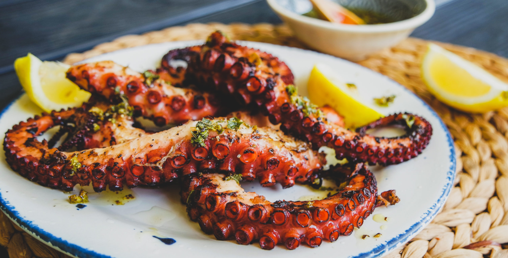 Grilled Octopus