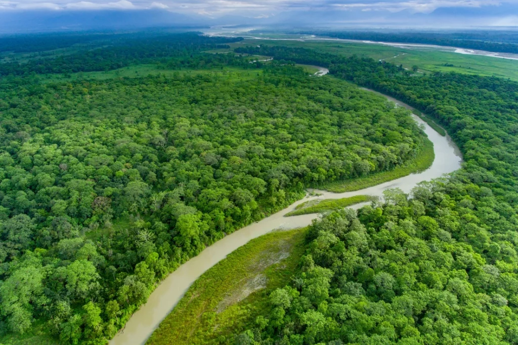 Jaldapara National Park, India