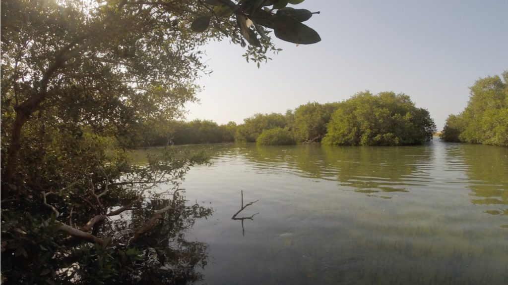 Jebel Ali Wildlife Sanctuary, United Arab Emirates