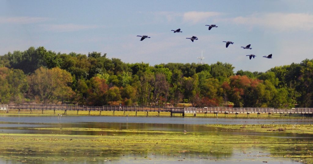 John Heinz National Wildlife Refuge at Tinicum, USA