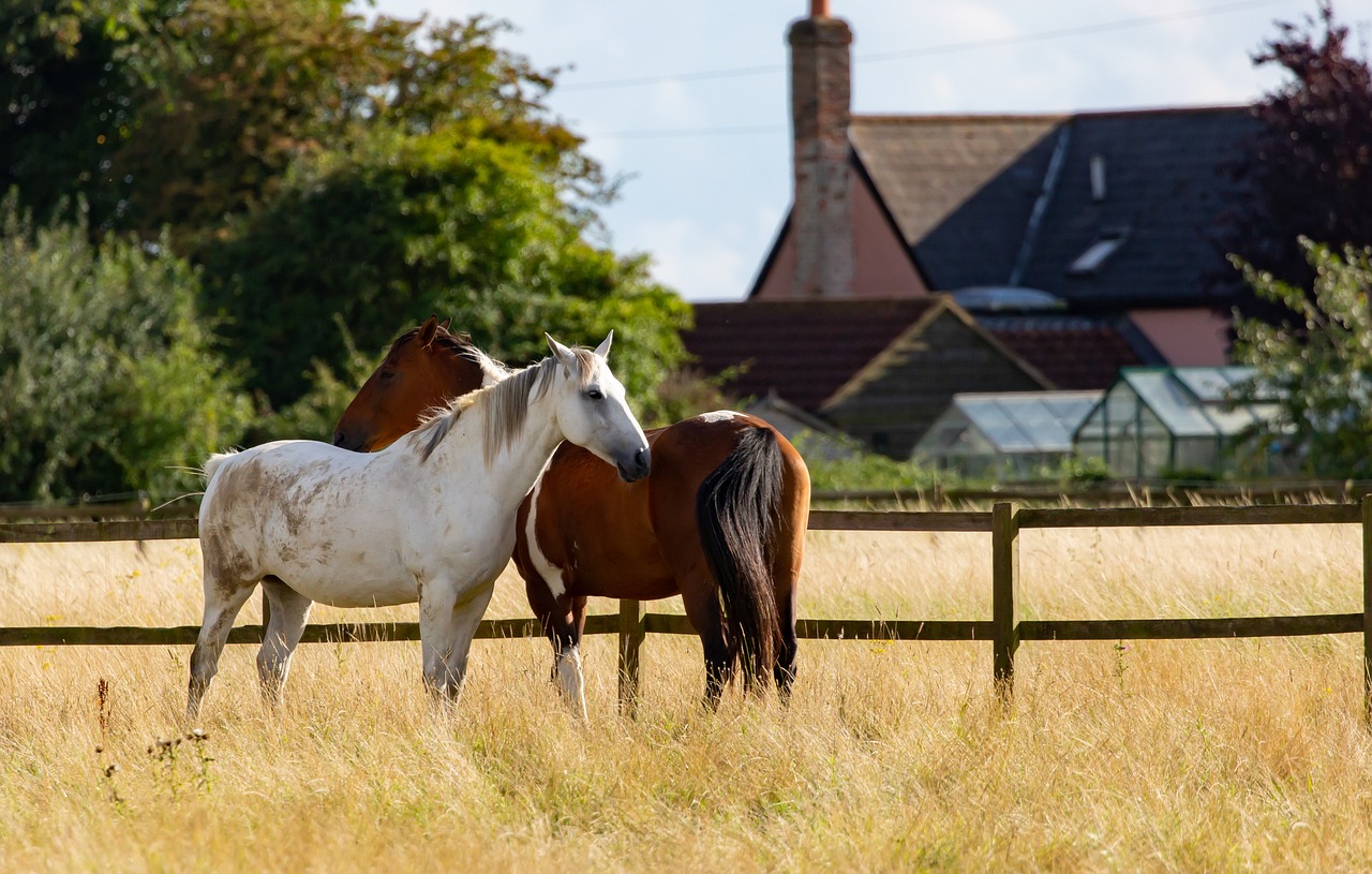 Why Ranch-Style Homes Are Becoming Popular Again