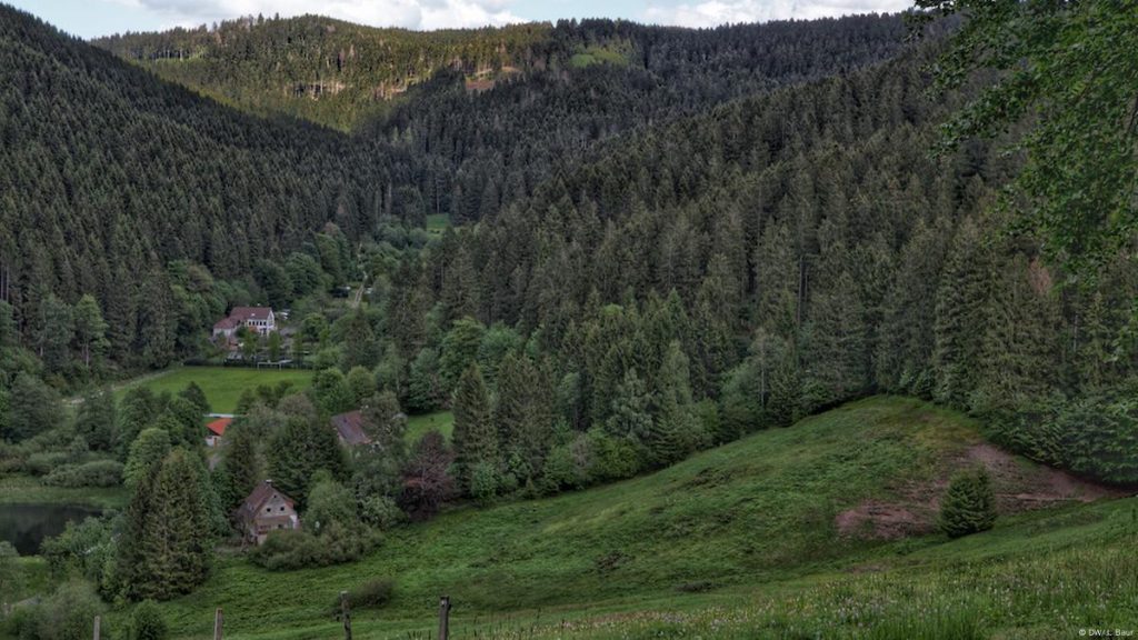 Harz Witches' Trail - Harz Mountains, Germany