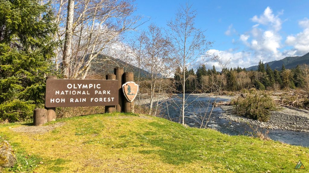 Hoh River Trail - Olympic National Park, Washington, USA