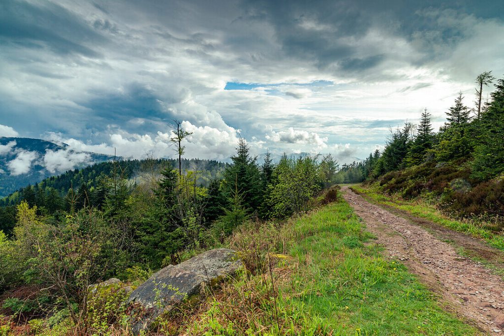 Hornisgrinde Trail - Black Forest, Germany