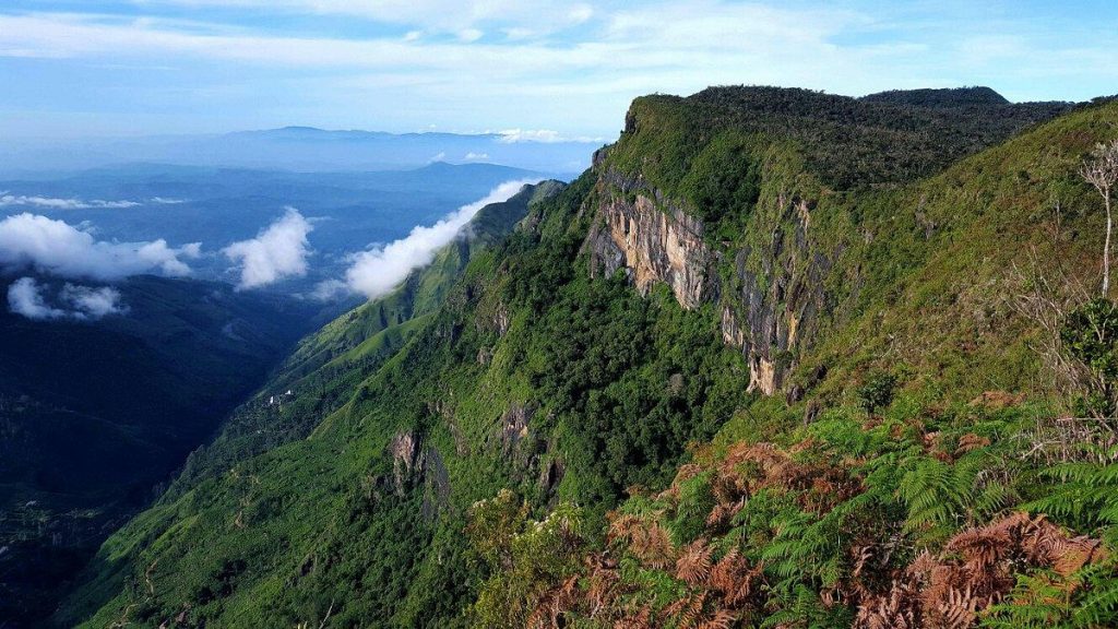 Horton Plains Trail - Horton Plains National Park, Sri Lanka