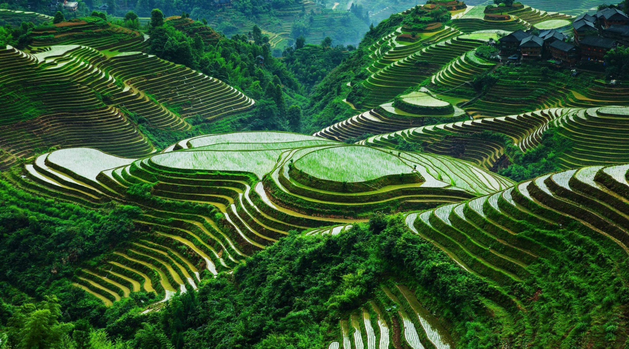 Ifugao Rice Terraces, Cordilleras, Philippines