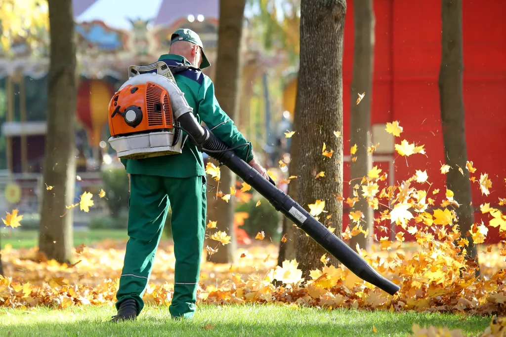 Leaf Blowers