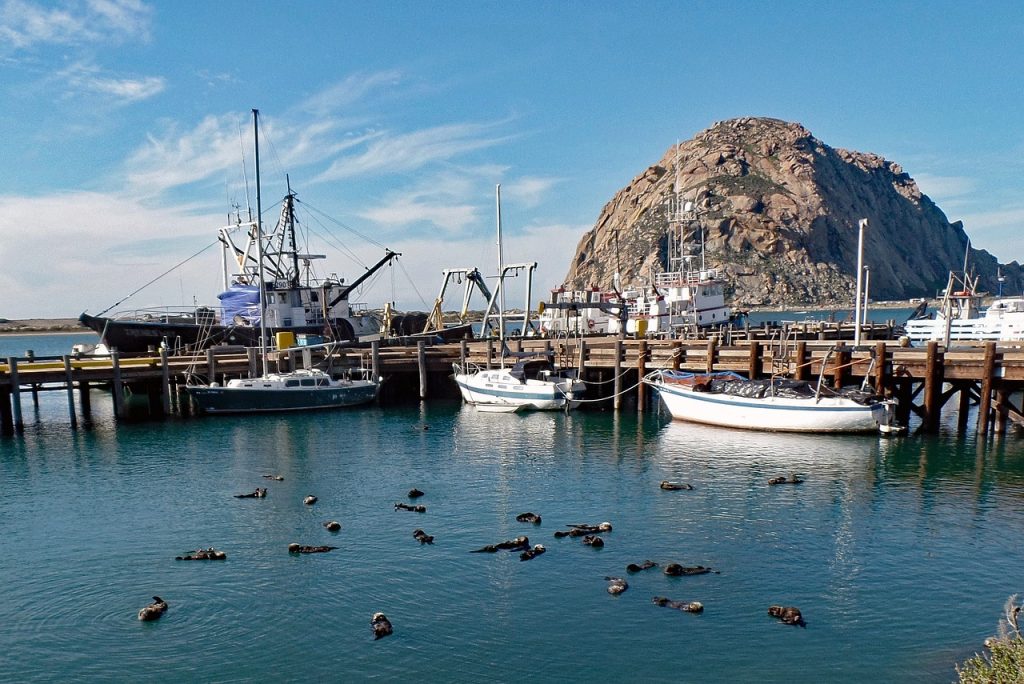 Morro Bay, California