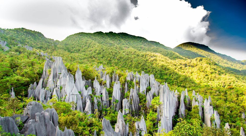 Mulu National Park, Malaysia