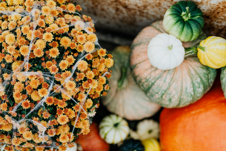 Spooky Flower Arrangements: Halloween Boo-quets and Scary Floral Ideas