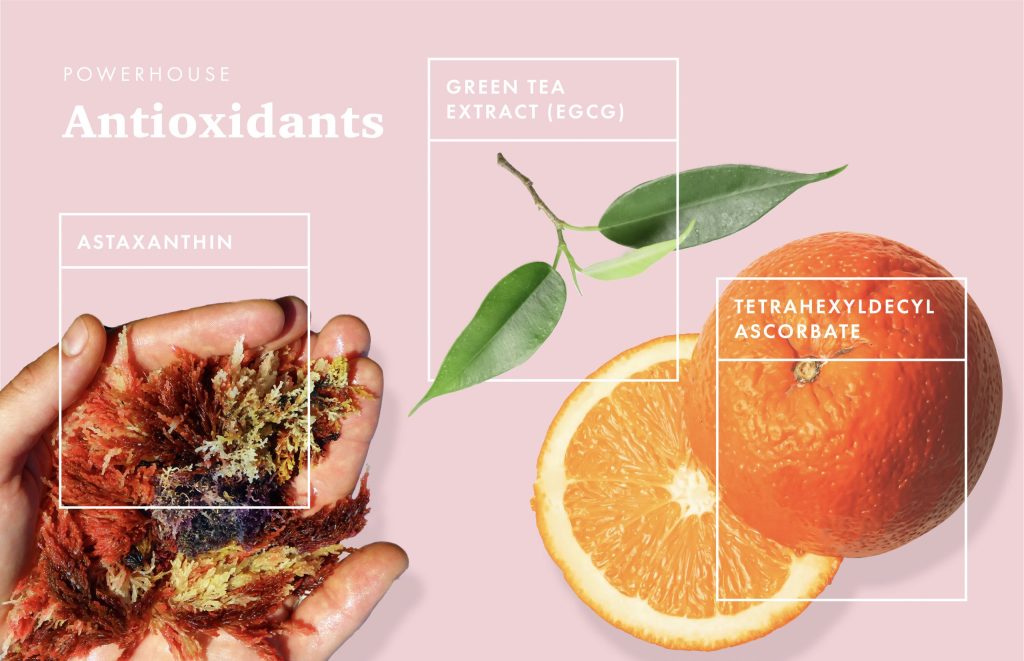 Include Antioxidants in Your Skincare