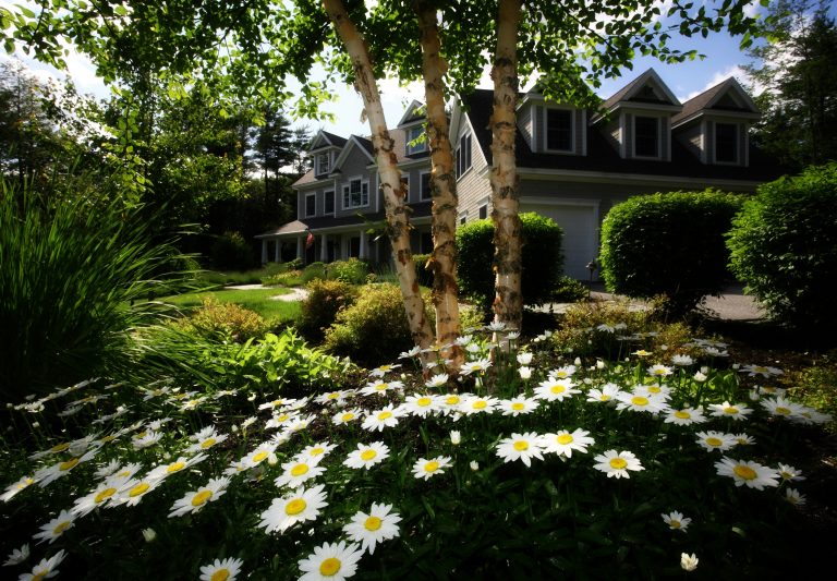 5 Landscaping Tips to Complement Your Home’s Design