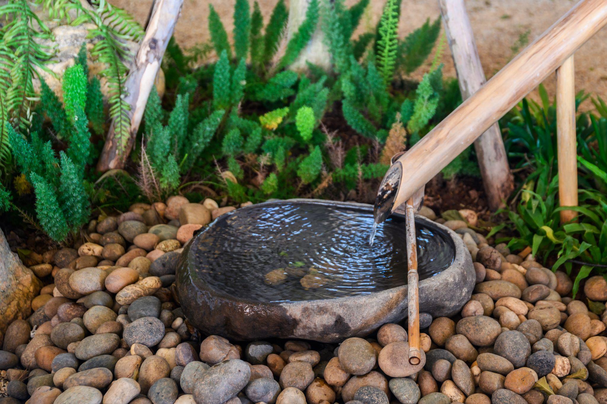 Transform Your Outdoor Space into a Zen Garden: A Guide to Relaxation and Meditation