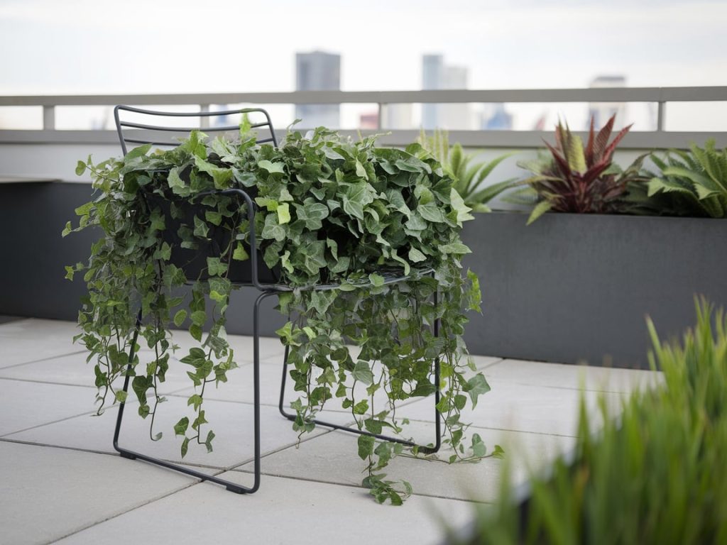 Vintage Wooden Chair Planter.