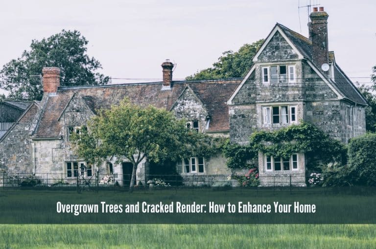 Overgrown Trees and Cracked Render: How to Enhance Your Home