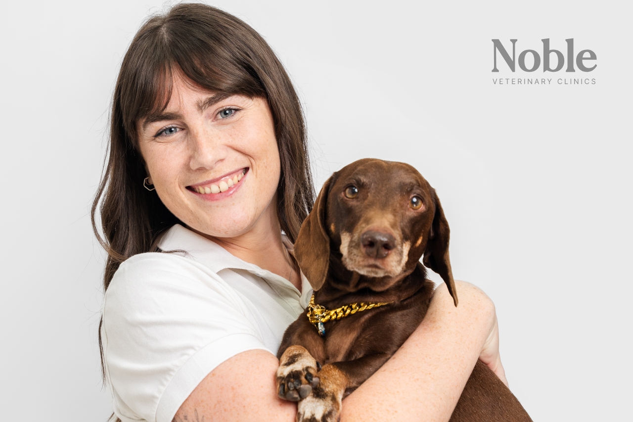 A pet owner hugging her pet after learning how to house train a dog properly