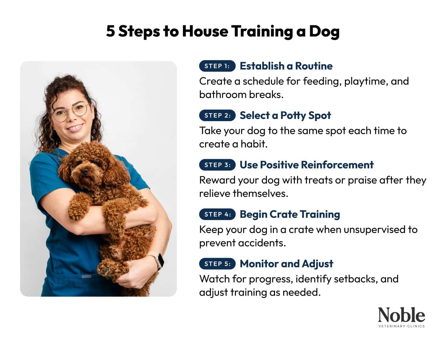 Alt text

An infographic on the steps of house training a dog or puppy, from establishing a routine to monitoring the progress.