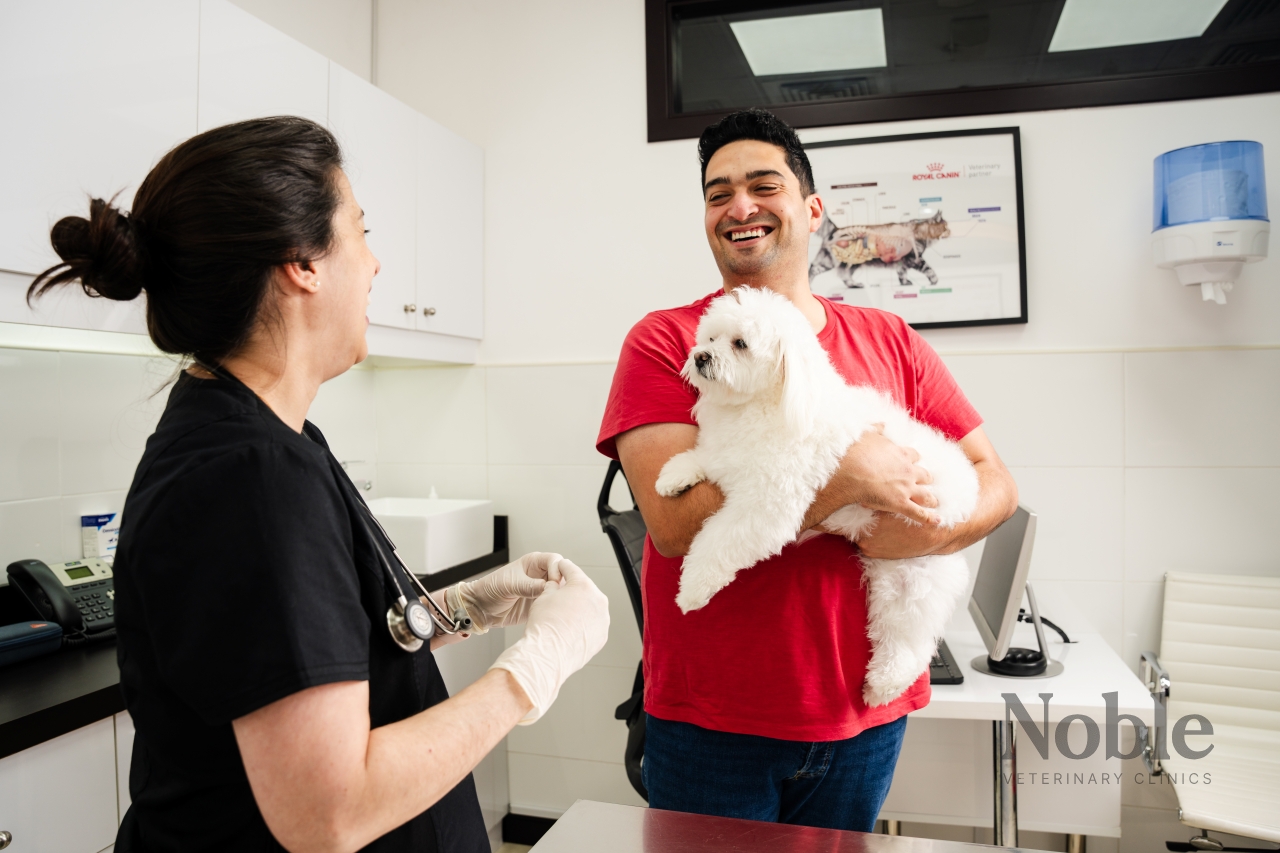 A pet owner with his dog at the vet clinic for a consultation regarding possible health issues that can hinder a successful house training.