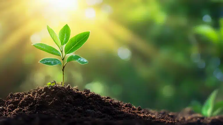 5 Ways to Connect with Nature for Better Health