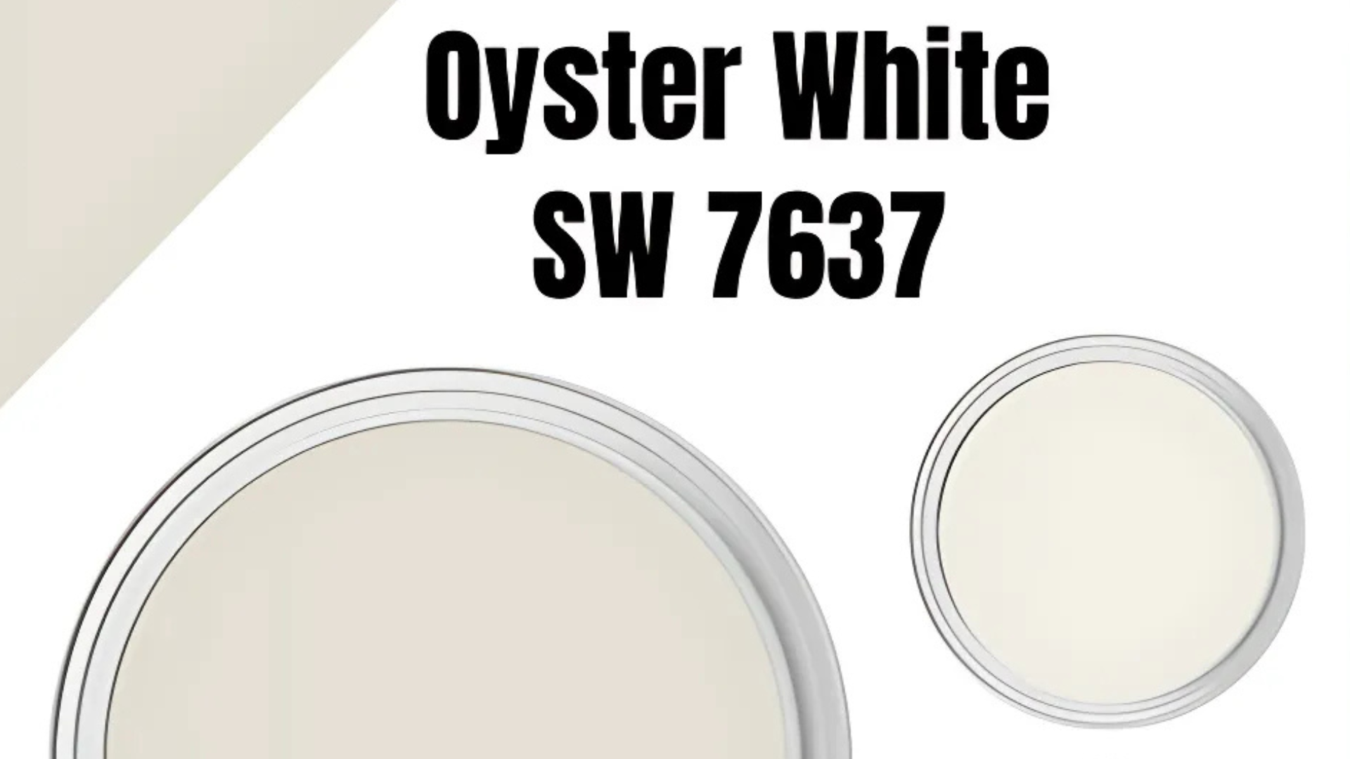 oyster white color palette