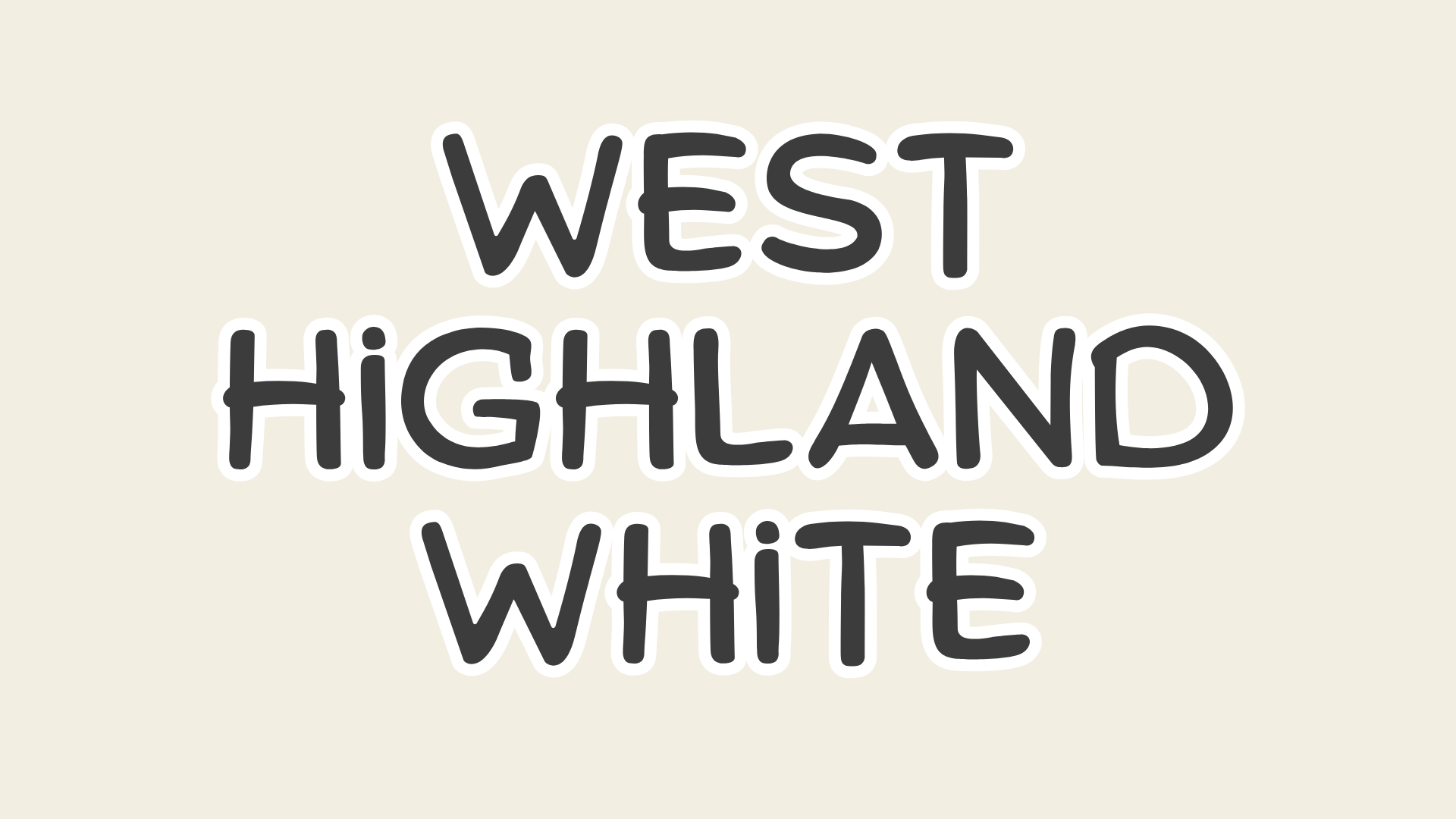 westhighland white paint