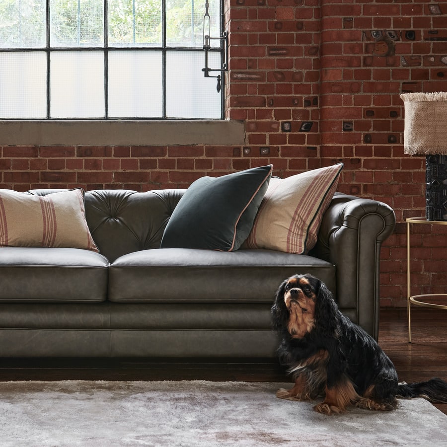 Fabric vs. Leather: Which Couch Material is Right for You