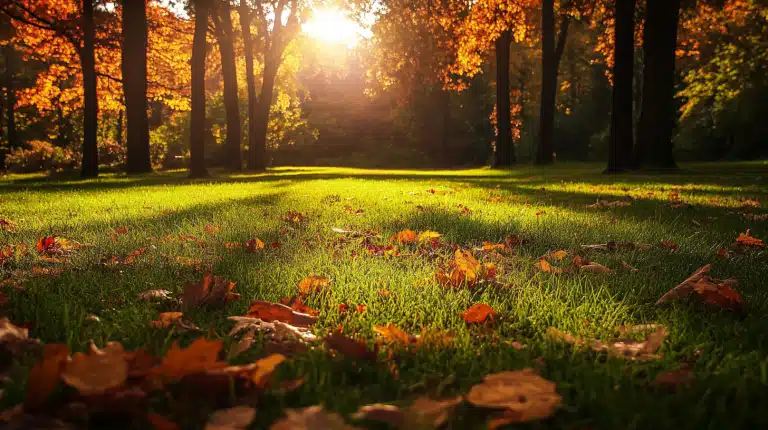 Why Buying a Burial Plot Early Makes Sense