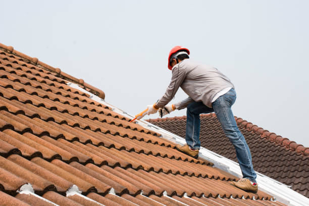 Common Roof Maintenance Mistakes to Avoid