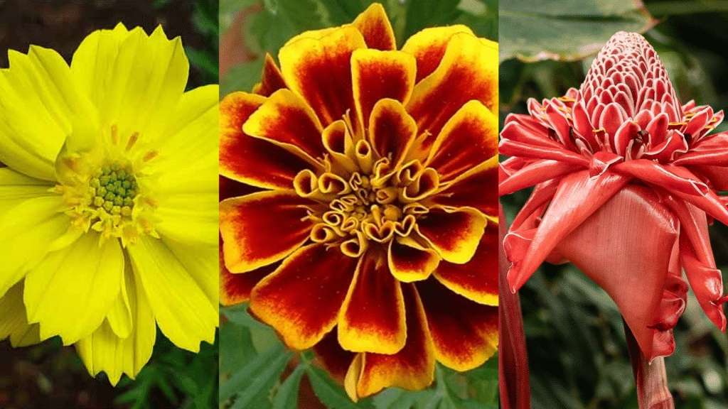 Autumn Floral Wonders
