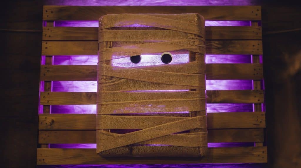 Pallet Mummy Frame