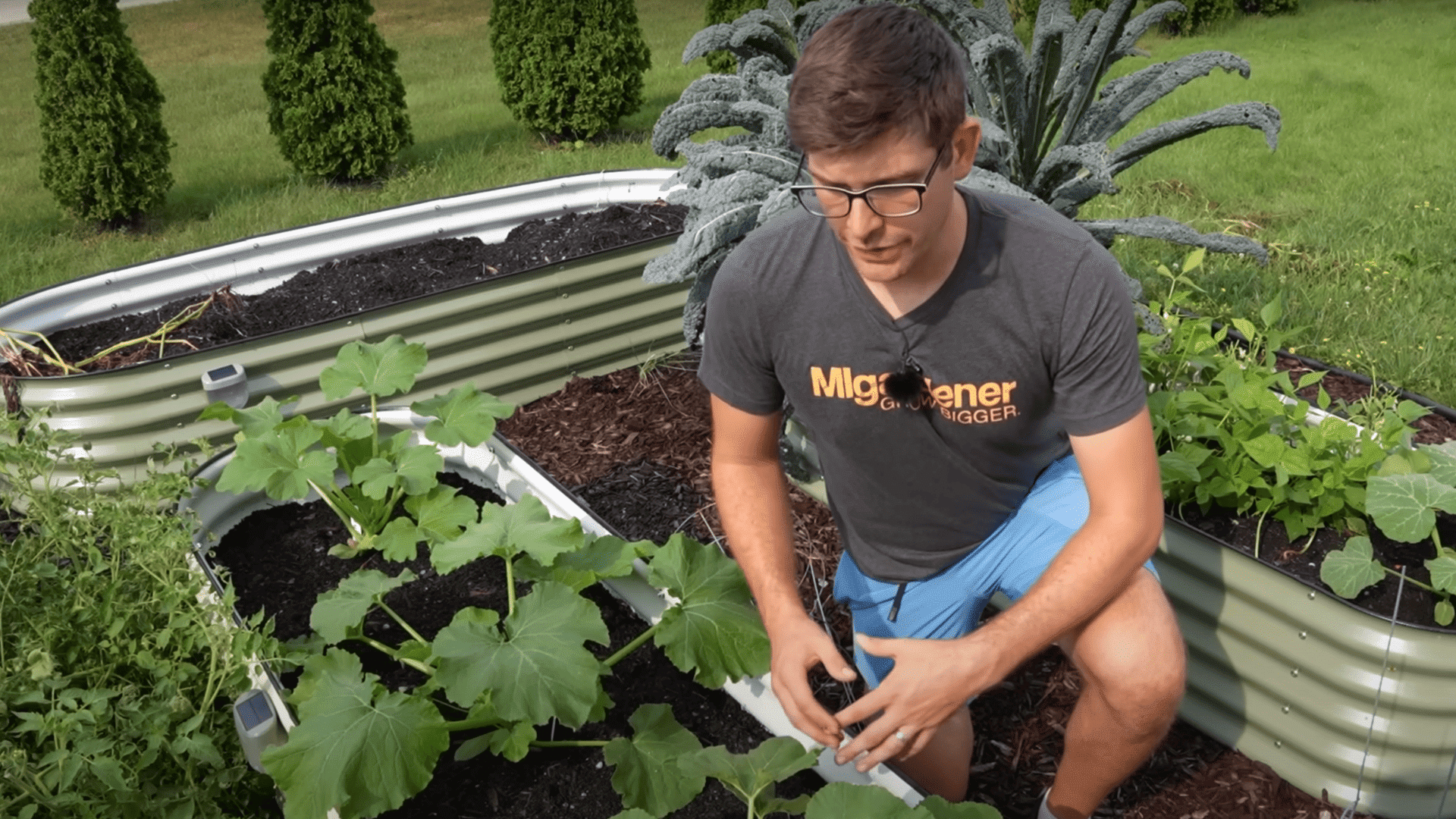 Step_1_Sow_the_Zucchini
