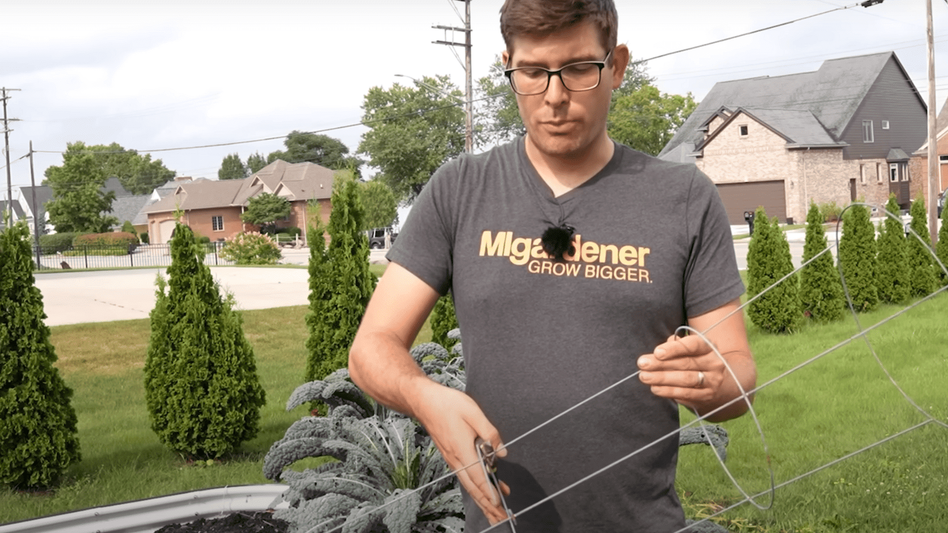 Step_2_Cut_the_Tomato_Cage