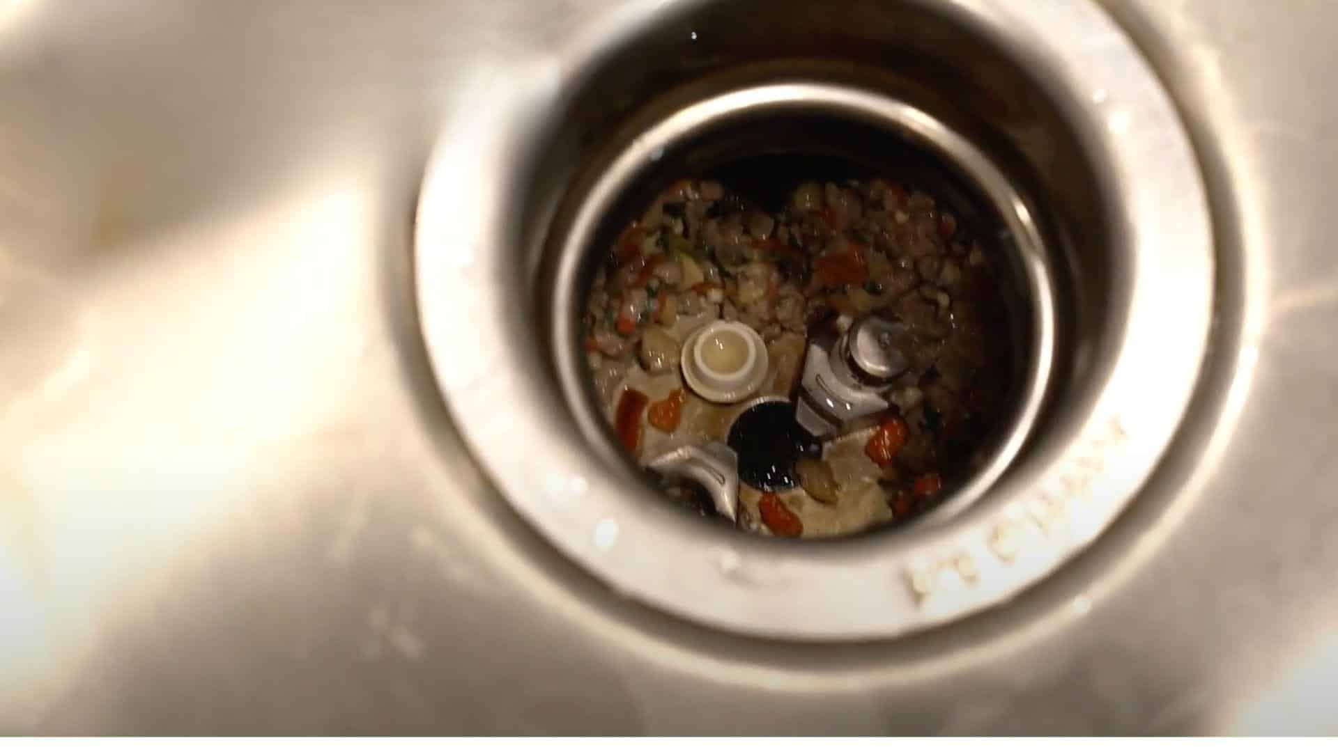 Step_3_Clean_Your_Garbage_Disposal
