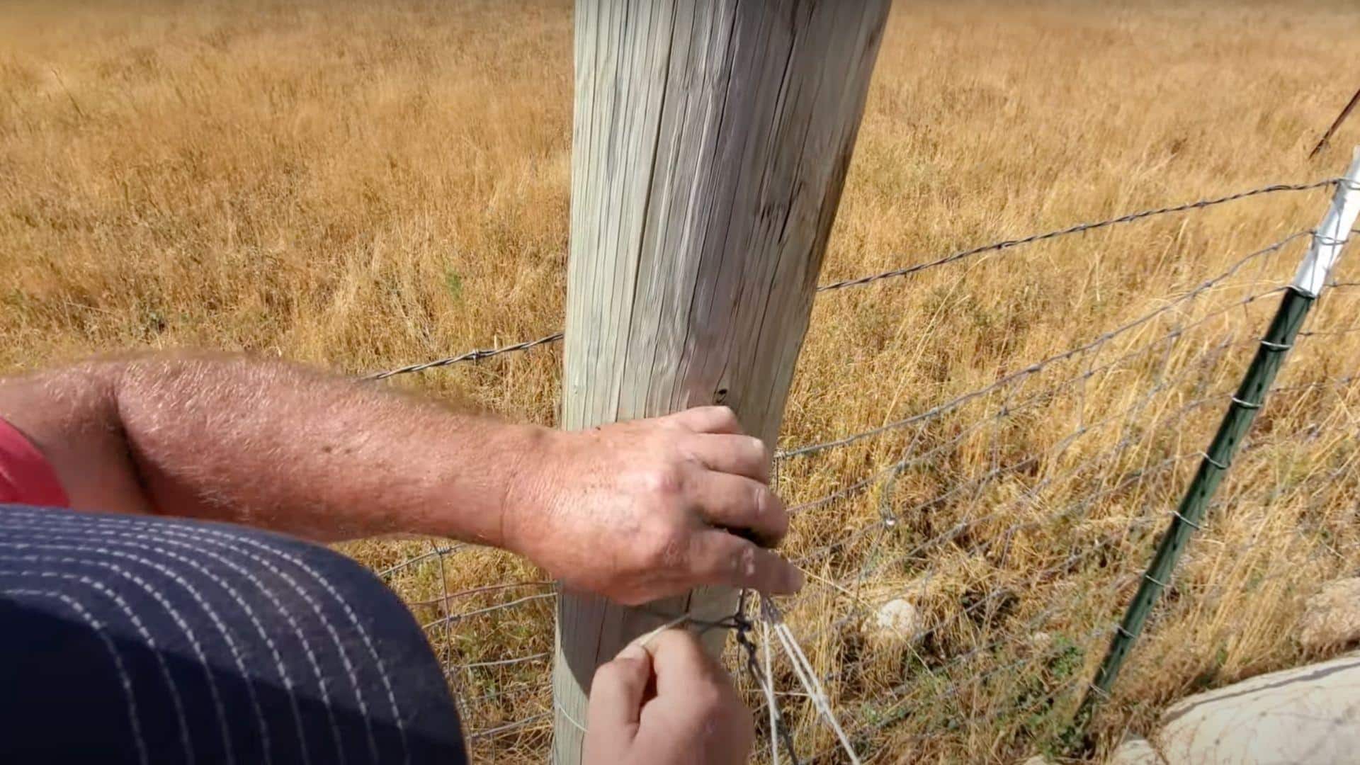Step_3_Stringing_and_Securing_the_Electric_Wire