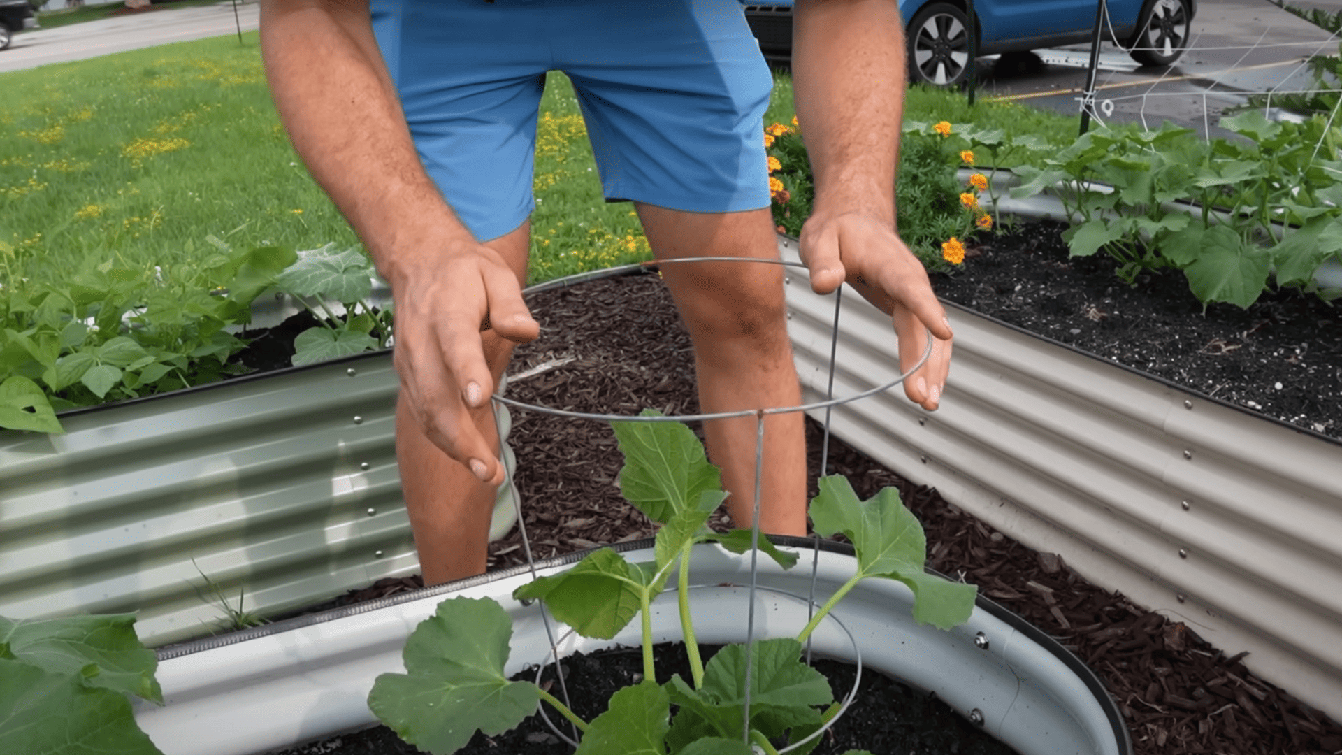 Step_4_Guide_the_Zucchini