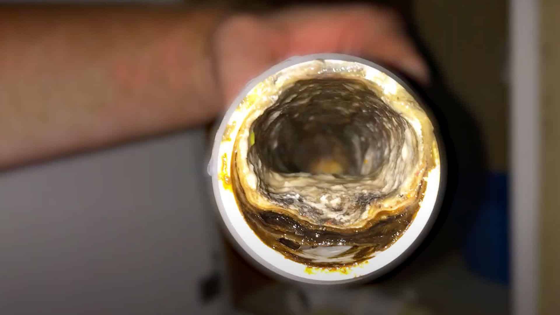Step_4_Inspect_the_Area_Under_Your_Sink