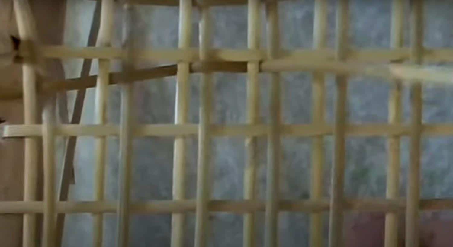 Step_5_Begin_Diagonal_Weaving