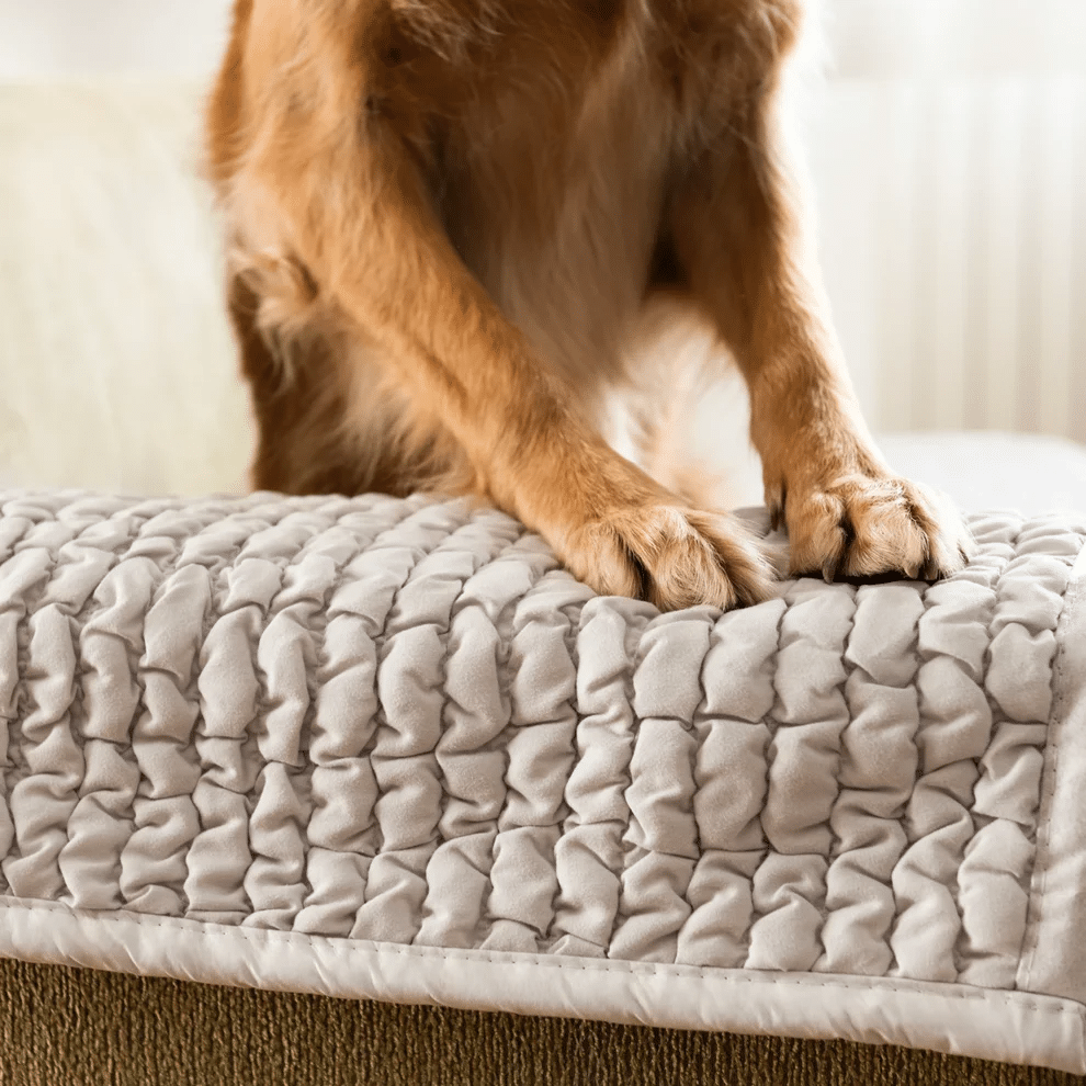 Multi-Functional Interior Design: Enhancing Home Comfort and Protection