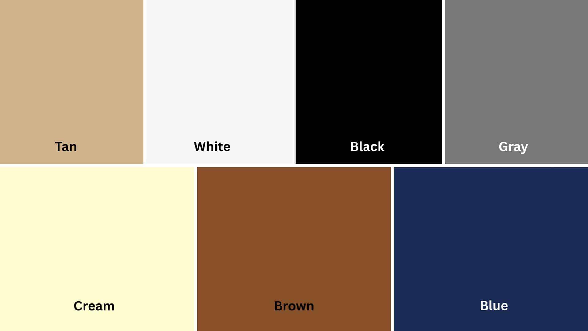 Color_Palettes_in_Modernist_Interiors