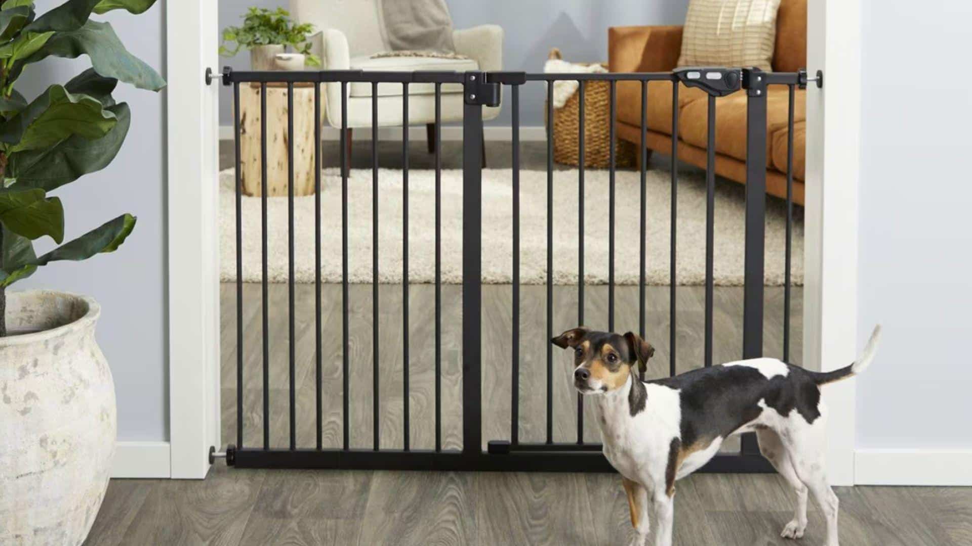 Frisco_Steel_Extra_Wide_Auto-Close_Dog_Gate