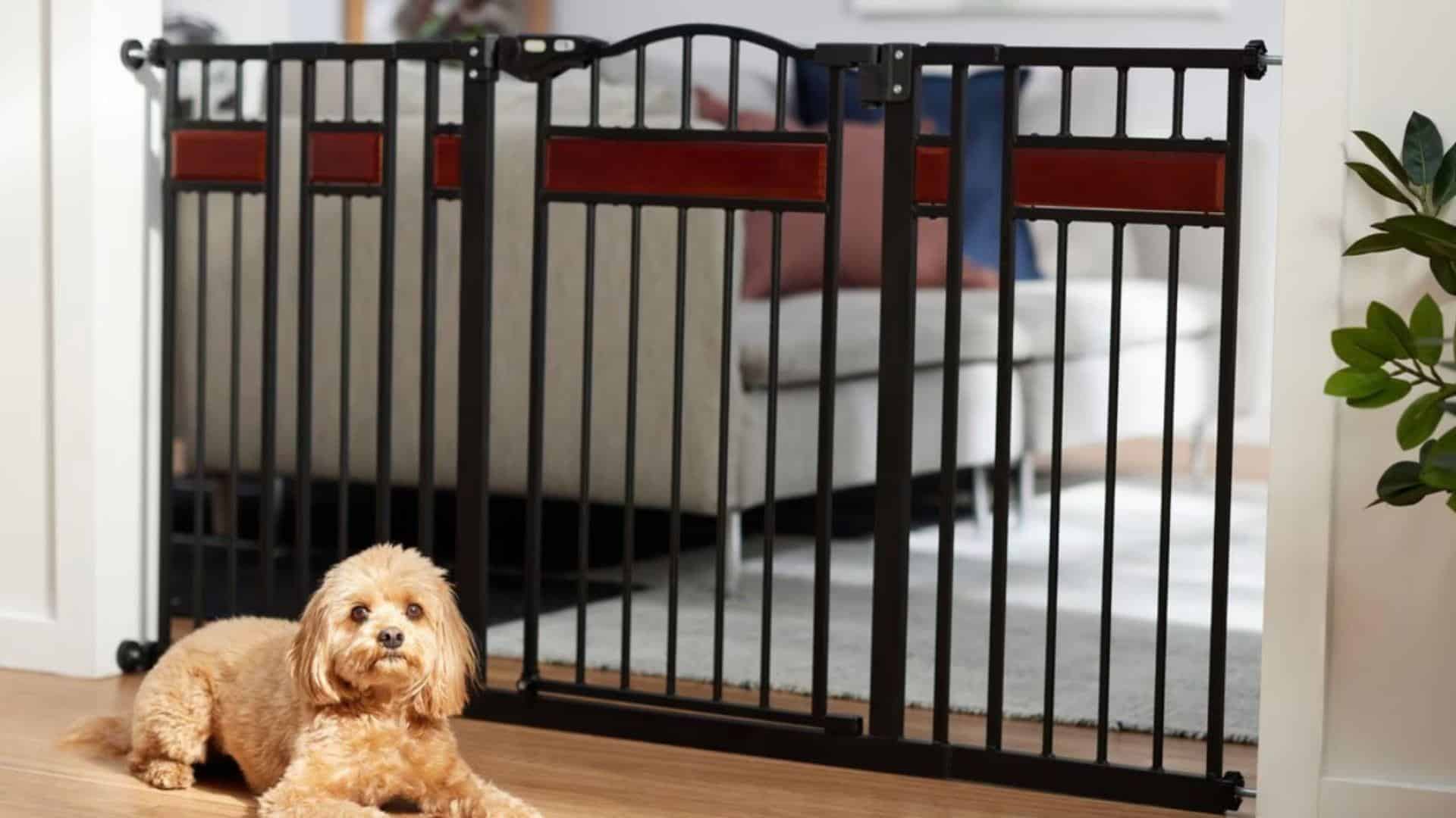 Frisco_Wood_Accents_Extra_Wide_Auto-Close_Pet_Gate