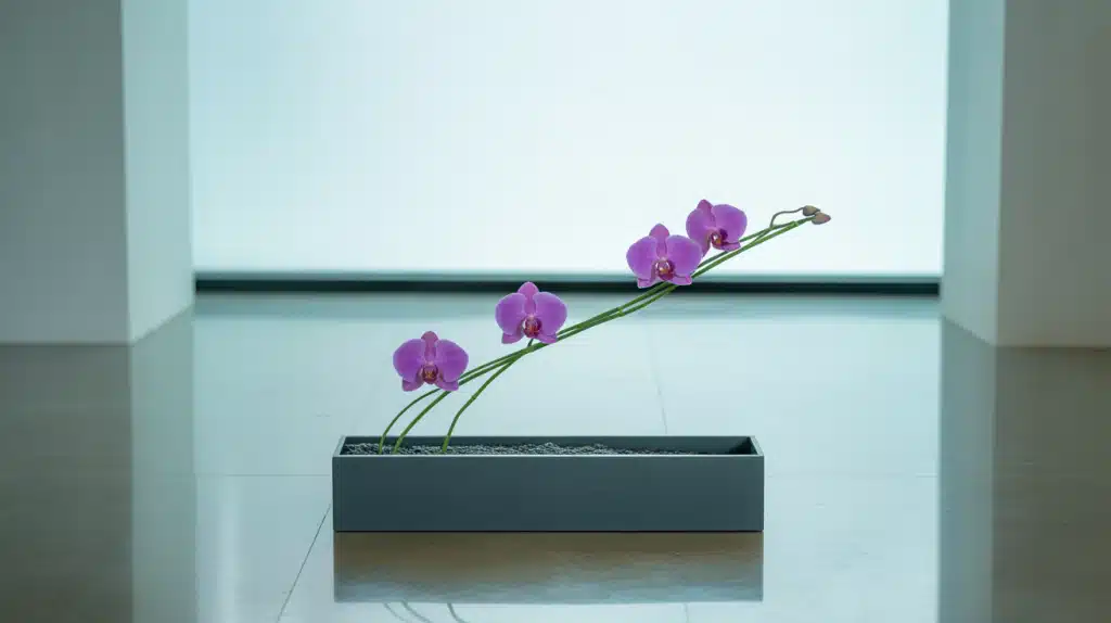 Line Flower Arrangement
