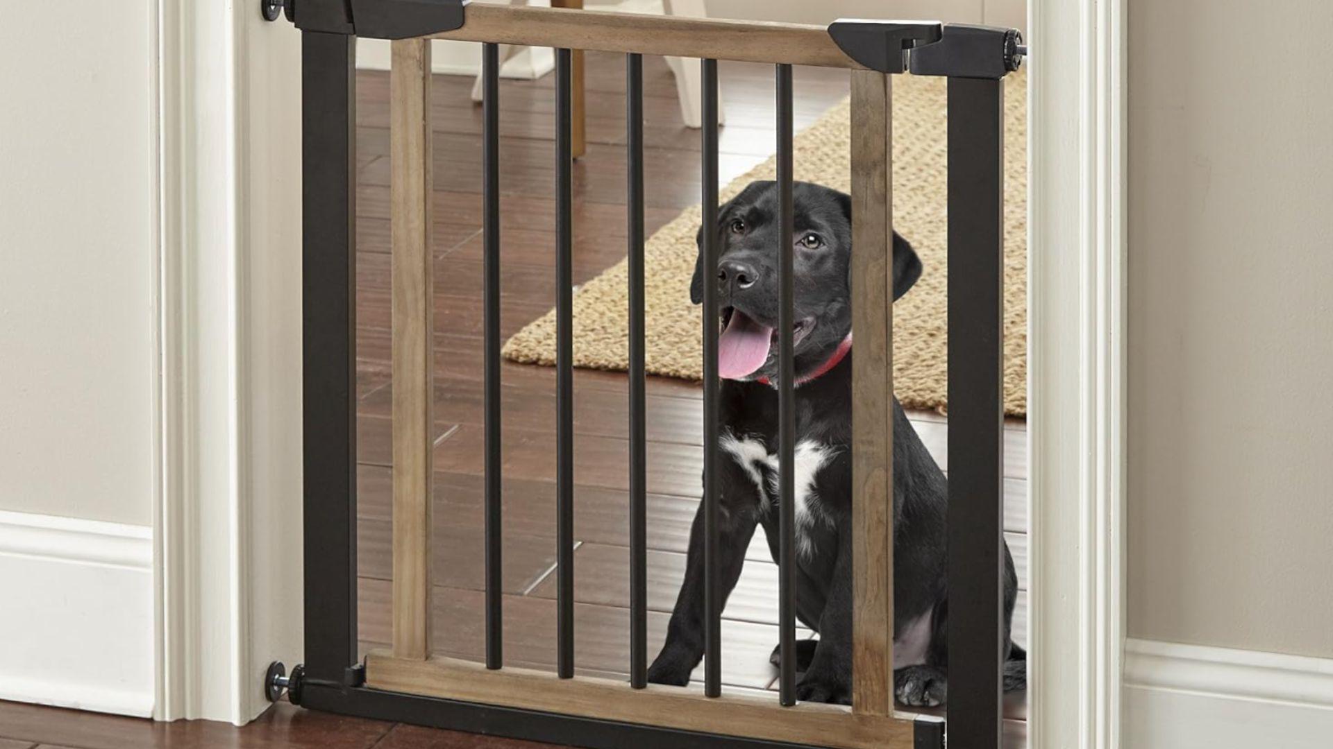 NMN_Designs_Logan_Dog_Gate