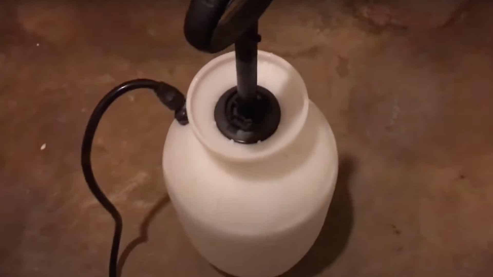 Step_1_Mix_Borax_Solution