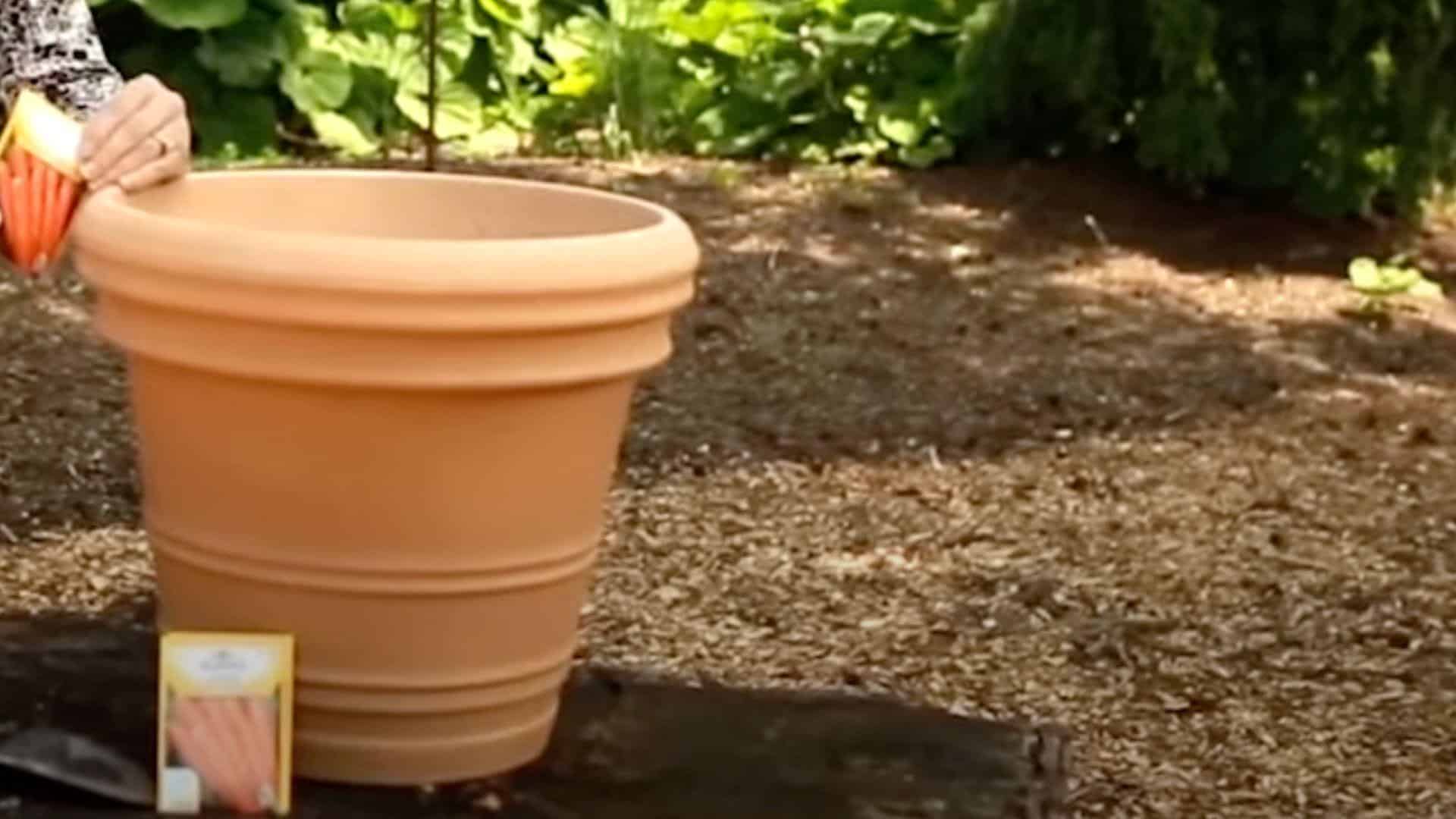 Step_1_Take_a_Strong_Container
