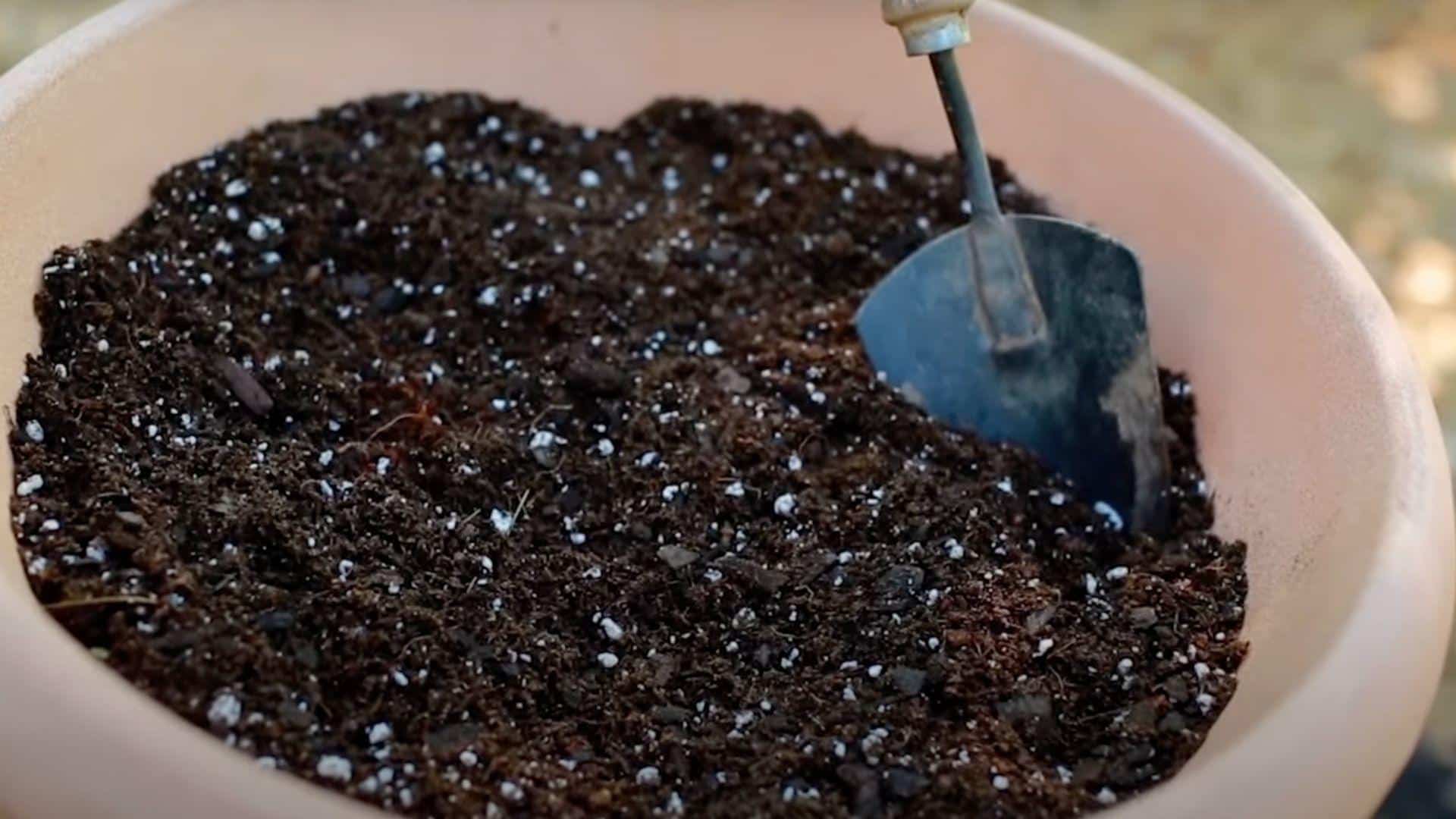 Step_2_Soil_Mix