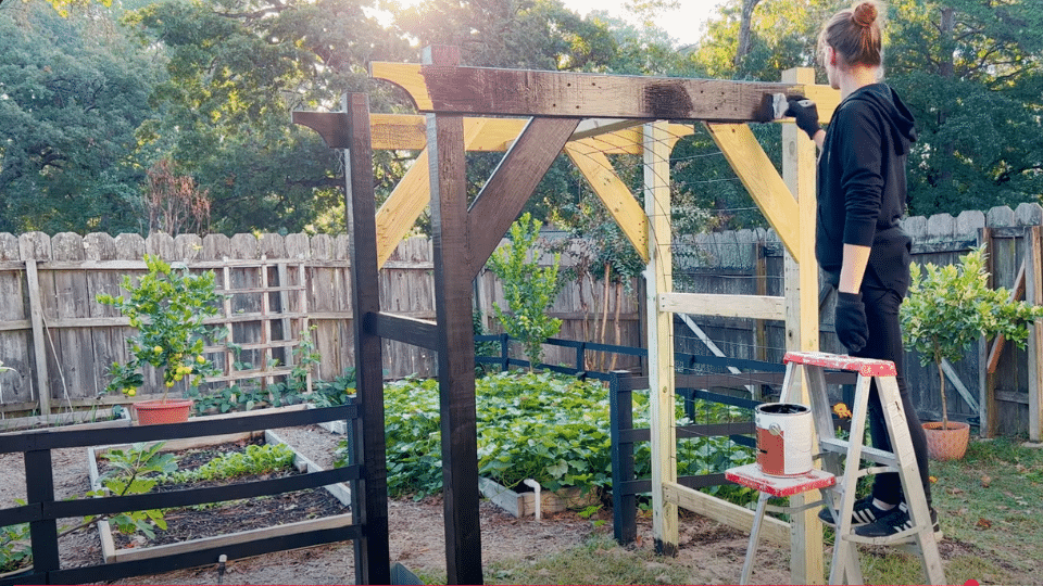 Step_6_Apply_Final_Paint_and_Plant
